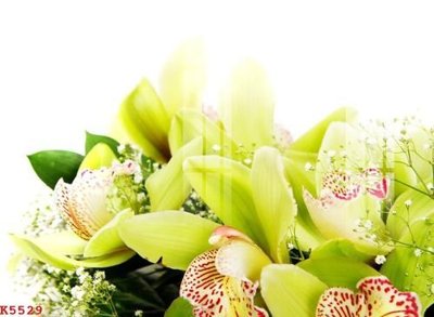 File gốc File gốc in tranh tổng hợp K5529 (AI/EPS) cho in ấn