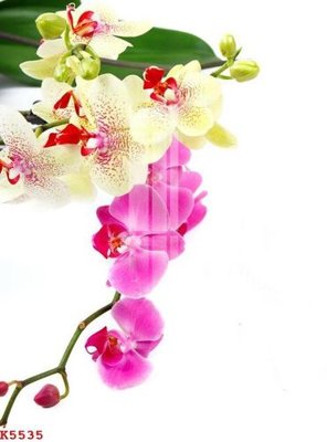 File gốc File gốc in tranh tổng hợp K5535 (cho in 3D) độc đáo