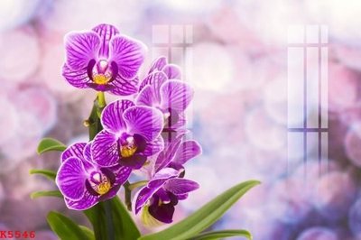 Tải file gốc File gốc in tranh tổng hợp K5546 (bản PSD) đầy đủ layer