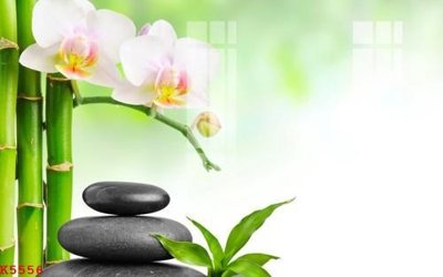 File tranh File gốc in tranh tổng hợp K5556 (ảnh gốc) chi tiết rõ ràng