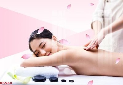 File in mica File gốc in tranh tổng hợp K5560 (bản gốc) làm vách ngăn