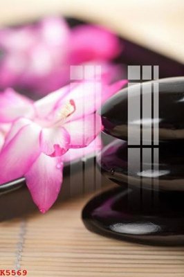 File tranh File gốc in tranh tổng hợp K5569 (bản gốc) treo quán cafe