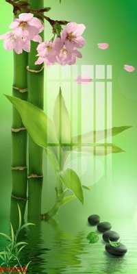 File tranh File gốc in tranh tổng hợp K5655 (bản gốc) trang trí văn phòng