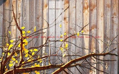 File gốc File gốc in tranh nền tường tổng hợp K57139 (PNG) nền trong suốt