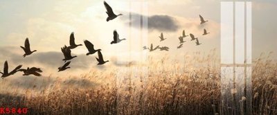 Download file File gốc in tranh tổng hợp K5840 (chuẩn in) File gốc in tranh tổng hợp K5840