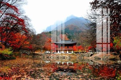 File tranh File gốc in tranh tổng hợp K5881 (bản gốc) in lụa 5D