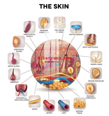 Cung cấp file tranh gốc File gốc in tranh nền tường tổng hợp K59010 độc quyền
