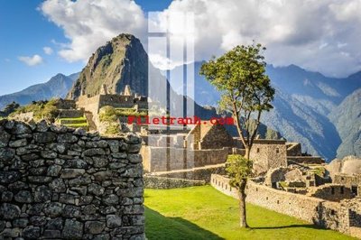 File in mica File gốc in tranh nền tường tổng hợp K59025 (bản gốc) làm vách ngăn