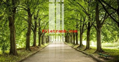 File gốc File gốc in tranh nền tường tổng hợp K59045 (thiết kế) độc quyền