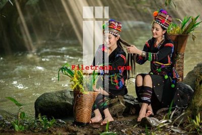 File in mica File gốc in tranh nền tường tổng hợp K59058 (ảnh gốc) đẹp