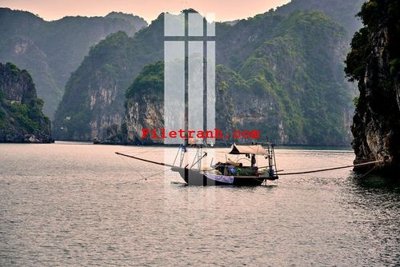 File in trần File gốc in tranh nền tường tổng hợp K59081 (file gốc) phong thủy