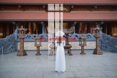 File tranh File gốc in tranh nền tường tổng hợp K59175 (gốc) chủ đề tĩnh vật