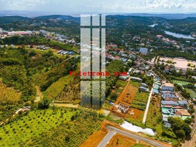 Tải file File gốc in tranh nền tường tổng hợp K59194 (gốc) làm file quảng cáo