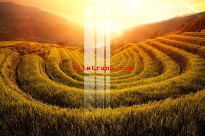 File ảnh File gốc in tranh nền tường tổng hợp K59199 (gốc) in Hiflex