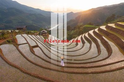 Tải file gốc File gốc in tranh nền tường tổng hợp K59232 (bản PSD) còn layer