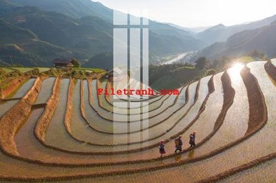 File gốc File gốc in tranh nền tường tổng hợp K59233 (PNG) không nền chất lượng