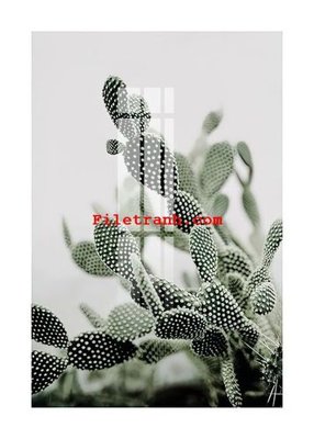 File gốc File gốc in tranh nền tường tổng hợp K59378 (in lụa) tranh mã đáo