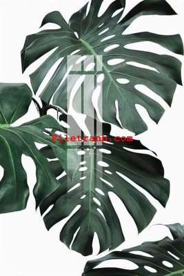 File ảnh File gốc in tranh nền tường tổng hợp K59394 (gốc) dùng in Pano