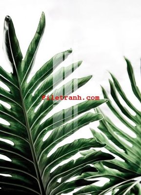 Download file File gốc in tranh nền tường tổng hợp K59395 (gốc) in mica cao cấp