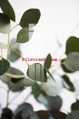 Hình ảnh file gốc in lụa File gốc in tranh nền tường tổng hợp K59403