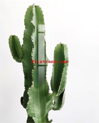 File gốc File gốc in tranh nền tường tổng hợp K59406 (phong cách) cổ điển