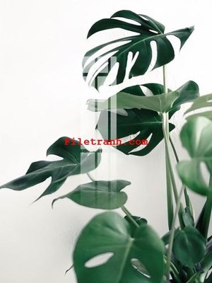 File in lụa File gốc in tranh nền tường tổng hợp K59410 (chất lượng cao) File gốc in tranh nền tường tổng hợp K59410