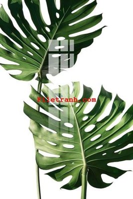 File tranh File gốc in tranh nền tường tổng hợp K59418 (bản gốc) treo tường