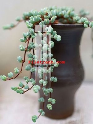 File gốc in ấn File gốc in tranh nền tường tổng hợp K59424 độ phân giải cao