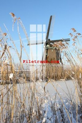 File in trần File gốc in tranh nền tường tổng hợp K59815 (bản gốc) trời sao