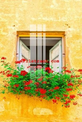 File PSD File gốc in tranh nền tường tổng hợp K59876 (gốc) tách lớp chi tiết