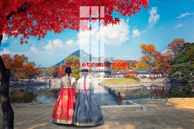 Download file gốc File gốc in tranh nền tường tổng hợp K59911 (in mica) trong suốt