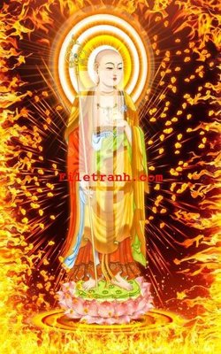 Ảnh mô tả file gốc in mica File gốc in tranh nền tường tổng hợp K59932