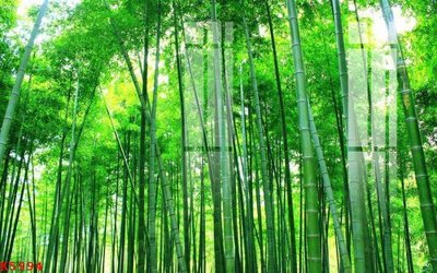 File gốc File gốc in tranh tổng hợp K5994 (ảnh chi tiết) để in trần