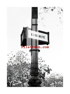 Tải file File gốc in tranh nền tường tổng hợp K60054 (gốc) làm file thiết kế