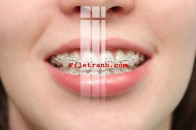 Download file gốc File gốc in tranh nền tường tổng hợp K60196 (dùng cho in ấn)