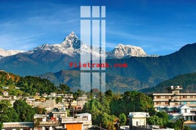 File in trần File gốc in tranh nền tường tổng hợp K60286 (bản gốc) hoa văn