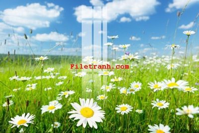 File gốc File gốc in tranh nền tường tổng hợp K60288 (in lụa) tranh thuận buồm