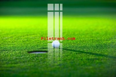 File ảnh File gốc in tranh nền tường tổng hợp K60312 (gốc) in backdrop sự kiện