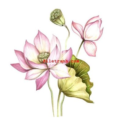 File in ấn cao cấp File gốc in tranh nền tường tổng hợp K60327 (file gốc)