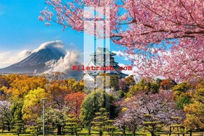 File in ấn File gốc in tranh nền tường tổng hợp K60348 (bản gốc) từ file gốc