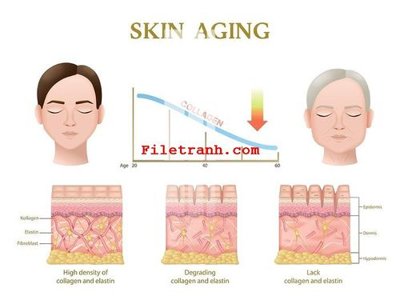 Tải file File gốc in tranh nền tường tổng hợp K60517 (ảnh gốc) file TIFF