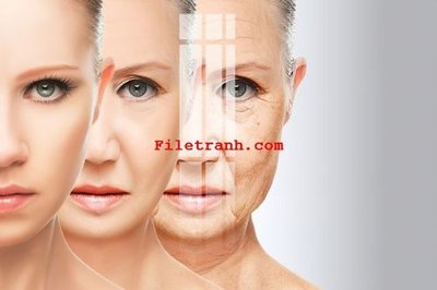 File tranh File gốc in tranh nền tường tổng hợp K60522 (gốc) in backlit film