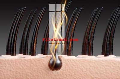 File ảnh File gốc in tranh nền tường tổng hợp K60528 (gốc) dùng in Pano