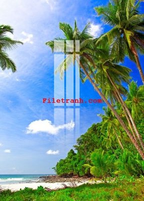 File in mica File gốc in tranh nền tường tổng hợp K60703 (ảnh gốc) đẹp