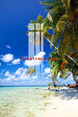 File in ấn File gốc in tranh nền tường tổng hợp K60705 (bản gốc) từ file gốc