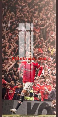 Tải về file tranh gốc File gốc in tranh nền tường tổng hợp K60804 (để in quảng cáo)