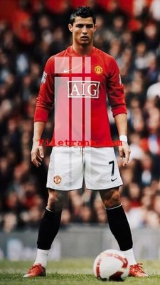 Download file gốc File gốc in tranh nền tường tổng hợp K60806 (in mica) trong suốt