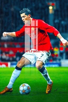 File in ấn File gốc in tranh nền tường tổng hợp K60851 (bản gốc) sắc nét