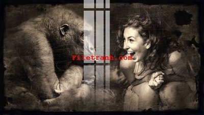 File gốc File gốc in tranh nền tường tổng hợp K61037 (dành cho quảng cáo)