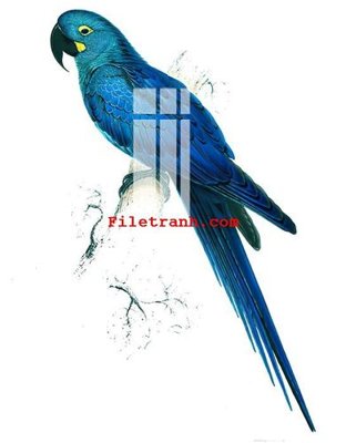 File gốc File gốc in tranh nền tường tổng hợp K61093 cho in ấn và thiết kế